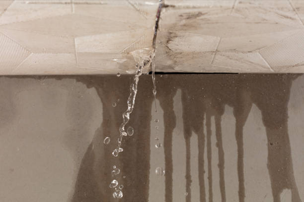 Professional Burst Pipe Cleanup technician working in Tahoe Vista, CA
